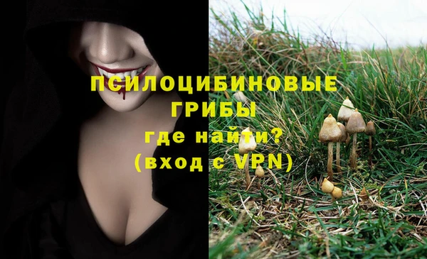 кокс Алексин